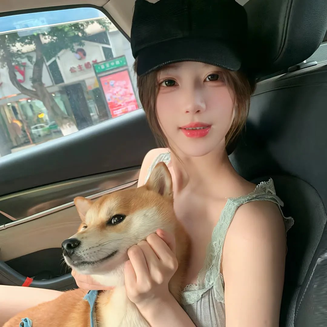 港湾第五季