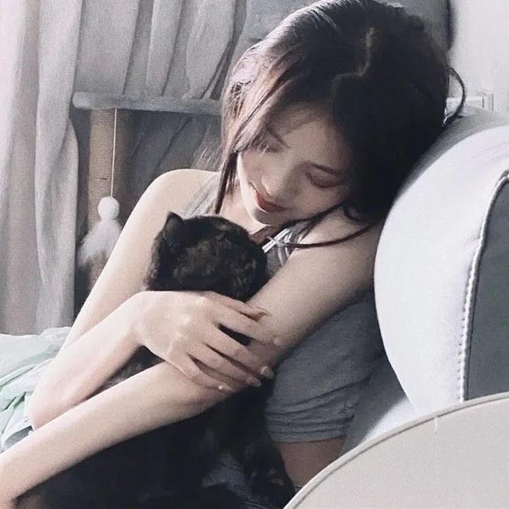 真爱骗子小娇妻